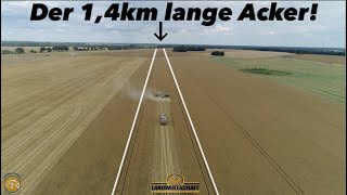 Der 14km lange Acker 1700ha Getreide Großeinsatz Getreideernte Team Westhoff Agrar Roggen Dreschen [upl. by Stochmal]