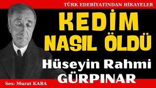 Hüseyin Rahmi Gürpınar quotKedim Nasıl Öldüquot Türk Edebiyatı Klasikleri Sesli Kitap [upl. by Aloap440]