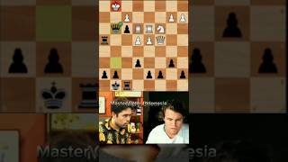 Mikhail Tals Unstoppable Triple Tactic bobbyfisher mikhailtal [upl. by Naleek]