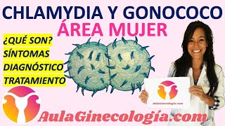 CLAMYDIA Y GONOCOCO ¿QUÉ SON SÍNTOMAS DIAGNÓSTICO TRATAMIENTO  Ginecología y Obstetricia [upl. by Marasco]