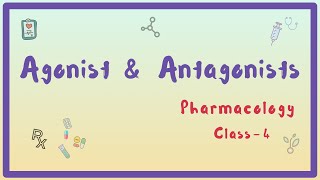 Agonist and Antagonist  Receptor pharmacology  pharmacodynamics Class 4  Hindi [upl. by Pegeen]