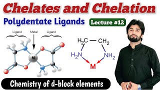 Chelates in Coordination Compounds  Ligands and thier Classification  Polydentate Ligands [upl. by Zachar850]