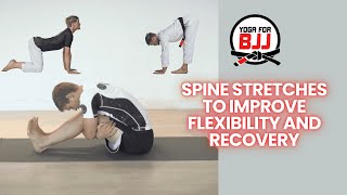 Yoga Follow Along  Spine Stretches to Improve Flexibility and Recovery [upl. by Brenton]