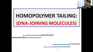 Homopolymer tailing DNA Joining Molecules [upl. by Giff]