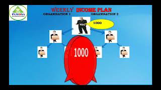 Pamosa Business Plan Shiv mrsvindianhacker1360 [upl. by Millur]