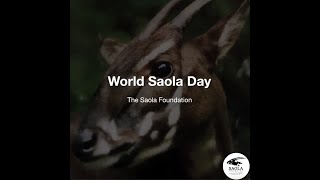 World Saola Day [upl. by Page714]