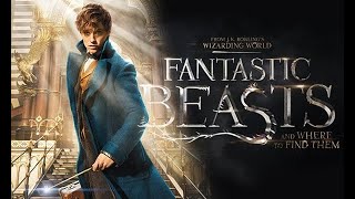 Fantastic Beasts and Where to Find Them Full Movie Fact in Hindi  Review and Story Explained [upl. by Nolra]