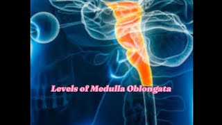 Levels of Medulla OblongataVery Easy ConceptSnells Neuroanatomy [upl. by Alat]