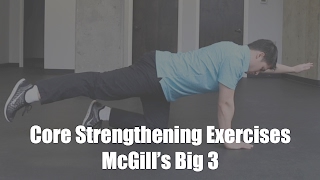 Core Strengthening  McGill Big 3 Exercises [upl. by Ennaisoj895]