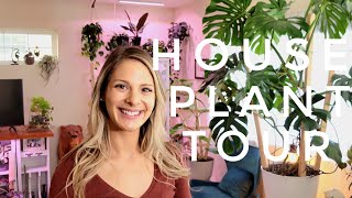 Houseplant Tour  Living Room Plant Tour Common  Uncommon [upl. by Fransis]