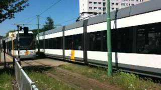 Antwerpen Straßenbahn  Antwerp Tram [upl. by Cruce]