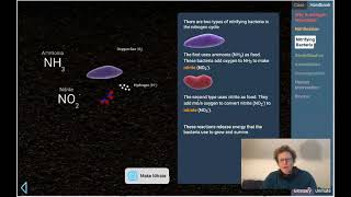 Lab 4 13 Nitrogen Cycles Case Pt 1 of 2 [upl. by Lahcsap]