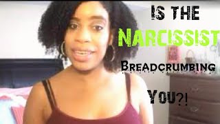 Stop Taking Breadcrumbs From The Narcissist [upl. by Alicea]