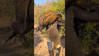 Hadzabe Young Man back to his family with a favorite delicious 😋hadzabetribe villagelife food [upl. by Gambrill]