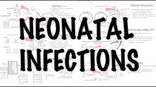 Neonatal Infections  Overview [upl. by Mychal76]