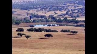 meu lindo alentejo [upl. by Risa475]