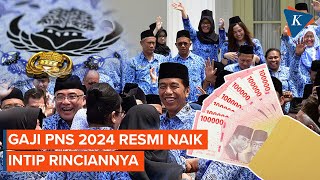 Gaji PNS 2024 Resmi Naik Ini Daftar Lengkapnya [upl. by Jaynell864]