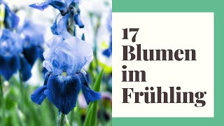 17 Blumen im Frühling die bunte Vielfalt in den Garten bringen [upl. by Haeckel]