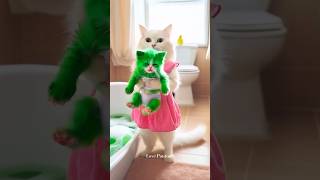 Crazy cat story 🫢🥬 cat cute funny funnystory funnyvideos [upl. by Sikes]