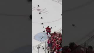 FLORIDA PANTHERS CELEBRATION GAME 7 WIN [upl. by Grizel299]