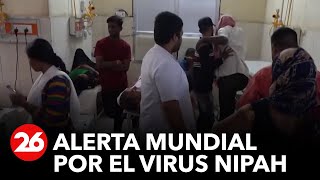 Alerta mundial por virus NIPAH [upl. by Mandler267]