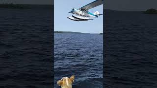 Kipawa fly boy in his float plane [upl. by Sorrows]