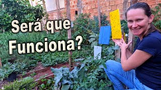 Testando uma Nova Técnica para Proteger a Horta🌱 [upl. by Cathryn951]