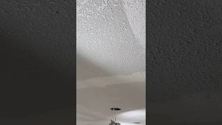 Helping a friend do knock down on ceiling and walls florida diy remodel texture drywall [upl. by Kecaj]