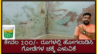 Wall dampness solution  waterproofing  DrFixit  construction in Kannada  Kannada kuvara [upl. by Sirraf956]