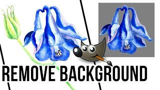 How to Remove Background in GIMP 2 [upl. by Lexy833]