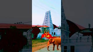 శ్రీ సిద్ధరామేశ్వర దేవాలయం ❤ Sree Siddarameshwara Temple  Bhiknoor trending love shorts viral [upl. by Dnomde324]