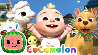 Ol MacDonald Had a Farm  CoComelon Songs amp Nursery Rhymes [upl. by Erej]