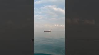 Ship in Suez canal Anchorage [upl. by Adnwahsat]