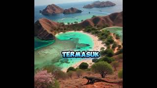 pulau komodo ntt faktaunik faktaindonesia wonderfulindonesia shorts [upl. by Kowtko]