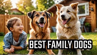 The Best Family Dogs Youve Never Heard Of [upl. by Ilana]