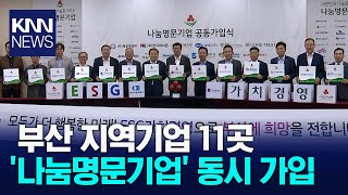 부산시 전국 1위 기부도시  KNN [upl. by Accire887]