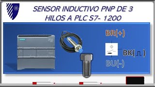 Conectar SENSORES de Proximidad a un PLC Siemens S71200 [upl. by Aeslehc]