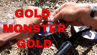 Minelab  Gold Monster 1000  Crumb Chasing  GOLD [upl. by Leonor429]