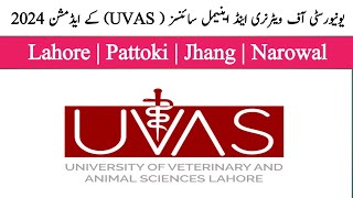 UVAS  UVAS fall admission 2024  How to apply University of veterinary amp animal sciences 2024 [upl. by Eelarbed859]