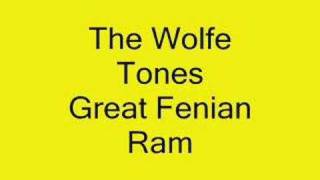 The Wolfe Tones Great Fenian Ram [upl. by Arihay]