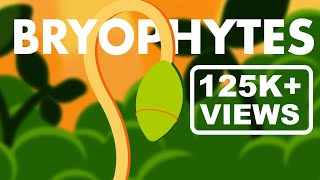 Bryophytes Class 11  Life Cycle of Bryophytes ANIMATION  Plant Kingdom Class 11  NEET [upl. by Relyhs]