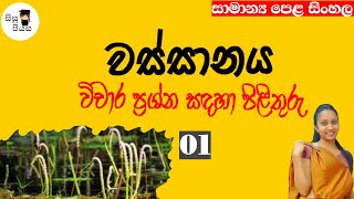 Wassanaya vicharaya 01 වස්සානය විචාර පිළිතුරු 01 OL Sinhala Sisupiyasa [upl. by Petr]