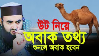 উট নিয়ে অবাক তথ্য  শুনলে অবাক হবেন। Mustafiz Rahmani [upl. by Bourne]