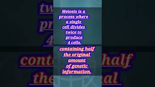 cell division meiosis cell sciencecompetition neet sciencefacts shortsfeed zoology ytshorts [upl. by Lisan]