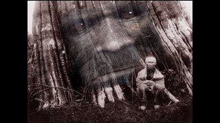 Another AMAZING 19th Century Bigfoot Sighting [upl. by Trici700]