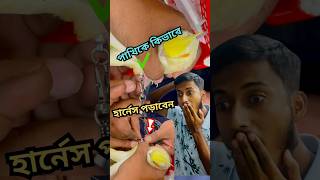 কিভাবে পাখির পায়ে হার্নেস পড়াবেন birds pets harness tips anondopets shorts [upl. by Idel407]