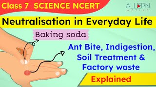 Application of Neutralisation in Everyday Life  NCERT Class 7  Acid Bases amp Salts  Allern Active [upl. by Ralph]