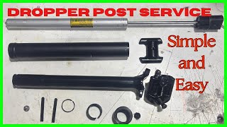 TranzX Dropper Post Service  how to service a dropper post ASMR [upl. by Darsie412]