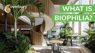 What is biophilia [upl. by Bozovich]