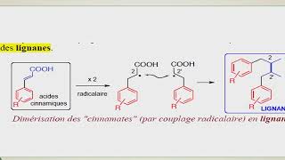 cours 3 suite Biogenèse composés phénoliques [upl. by Derzon]